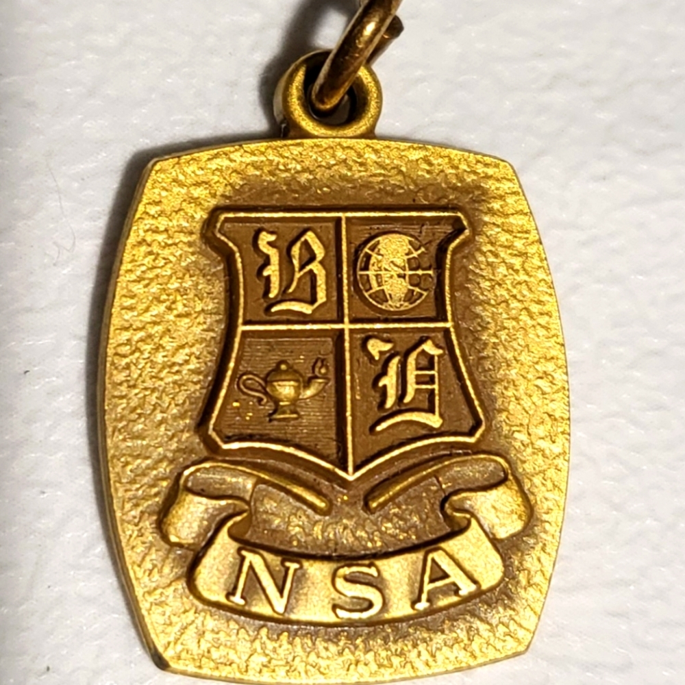 Vintage 1974 Goldtone Atlanta Georgia‎ NSA Professional Pin - Picture 3 of 3